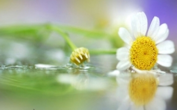 Hai câu chuyện nhỏ